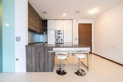 The Scotts Tower (D9), Condominium #518965951